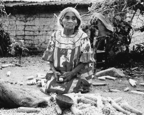 Conejos de la felicidad de María Sabina