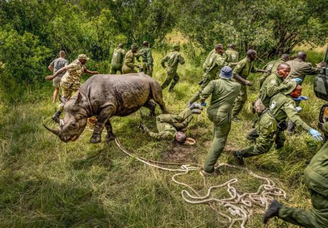 Estas son las poéticas imágenes que ganaron el concurso de la Royal Photographic Society