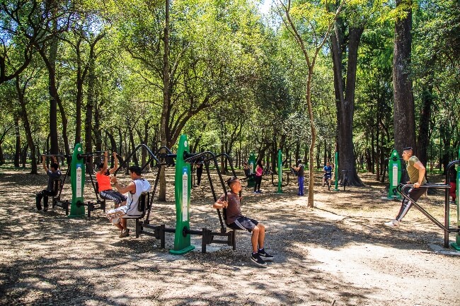 Sobre los gimnasios al aire libre y cómo empezar a hacer ejercicio en 2025