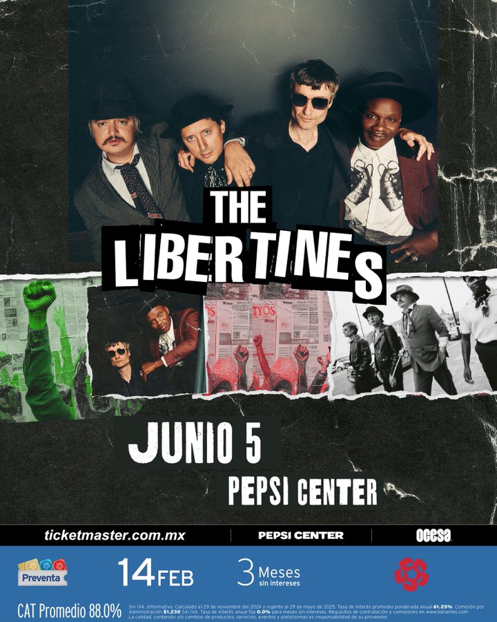 the libertines concierto