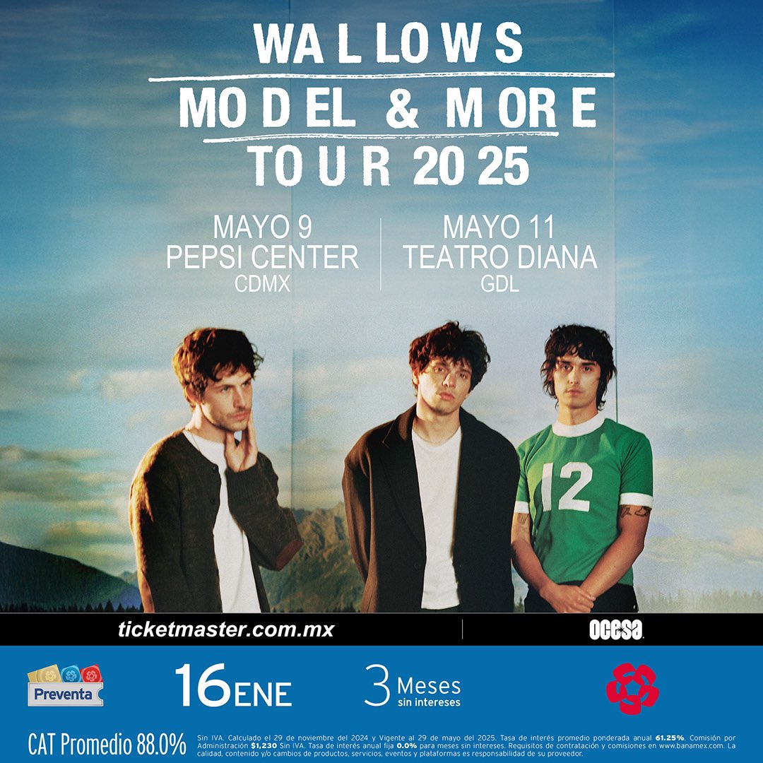 wallows mexico2025