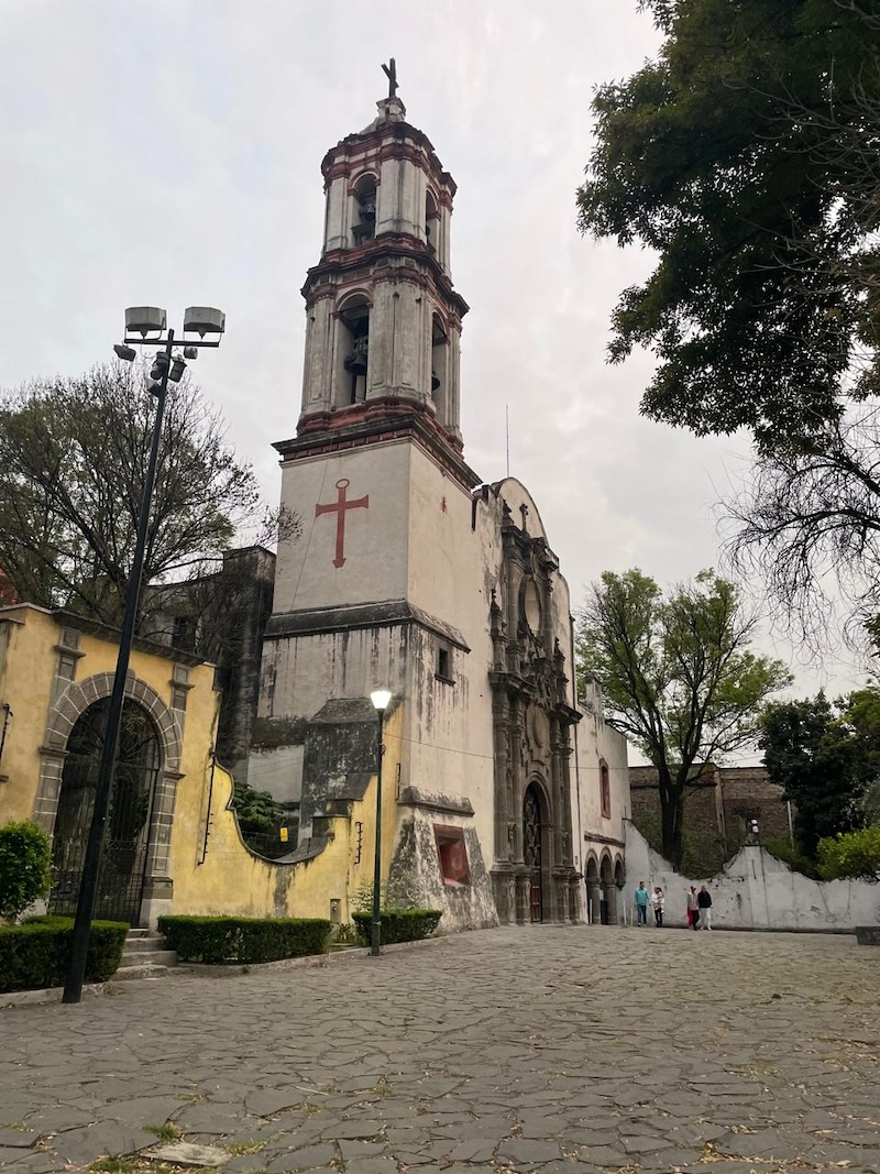 La historia de la hormiga del fin del mundo en Azcapotzalco