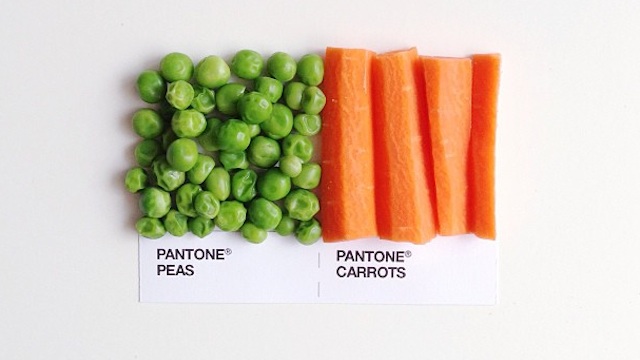 Pantone comida 08