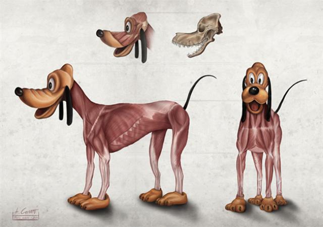 Popular-Disney-Character-Anatomy-by-Alessandro-Conti-4