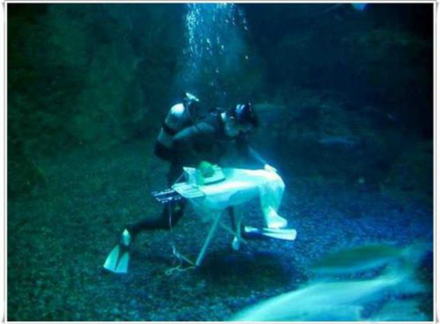 extreme-ironing-12