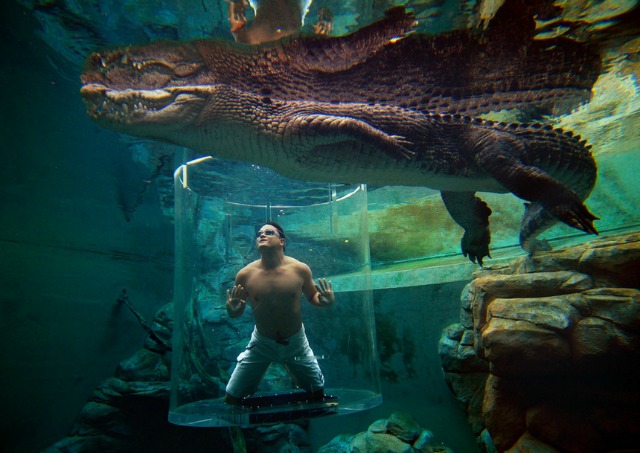 Crocosaurus Cove