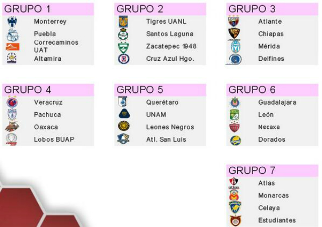 copa mx 2013