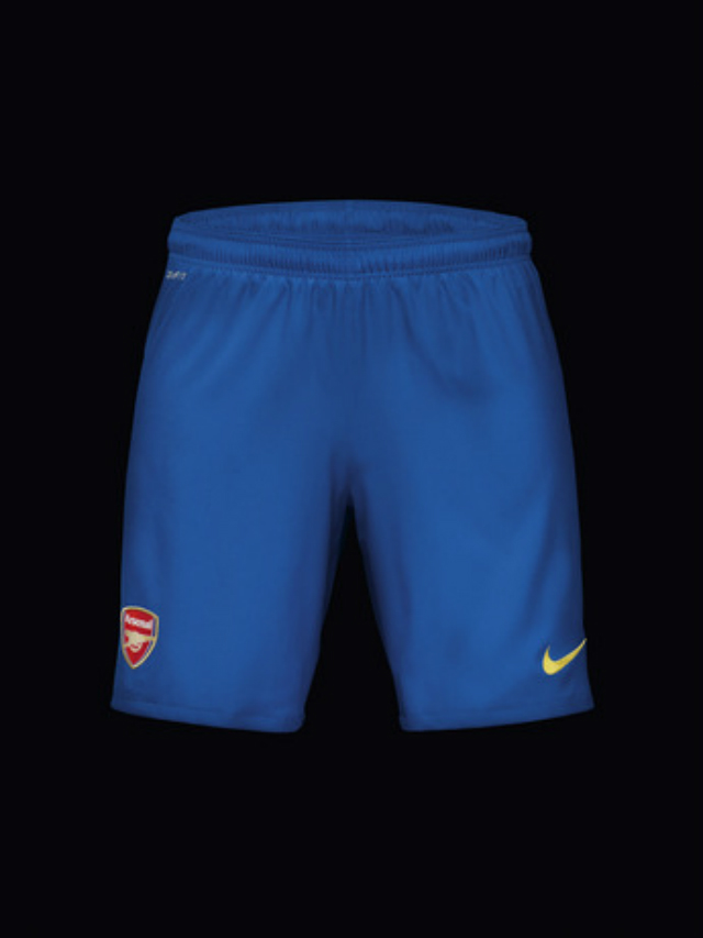 Fa_Su13_Arsenal_A_Short_large