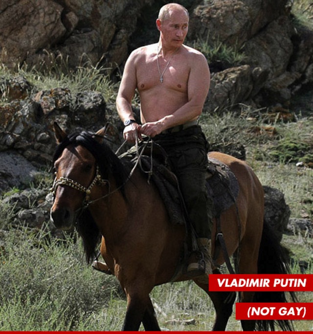 0821-vladimir-putin-not-gay-tmz-1