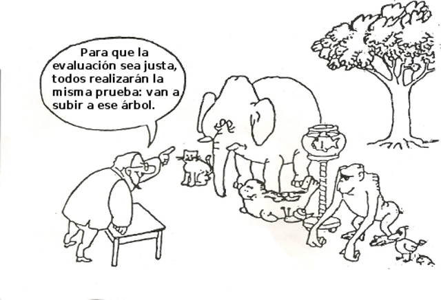 evaluacion animales selva