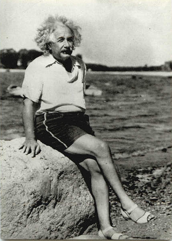 einstein adulto