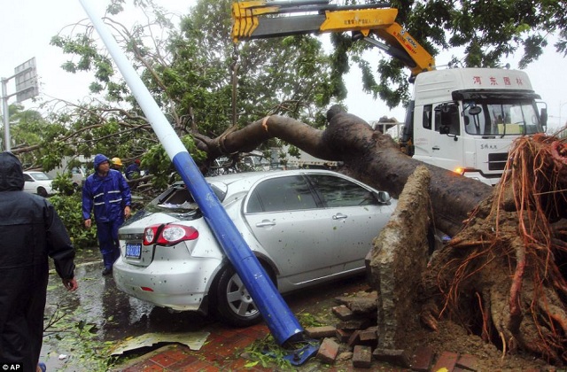 Haiyan Filipinas20