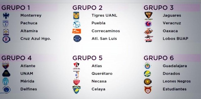 COPAMX grupos 2014