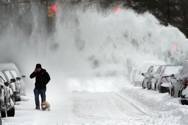 nevada NY5