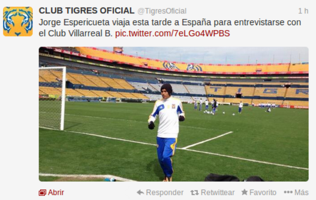 tuit tigres