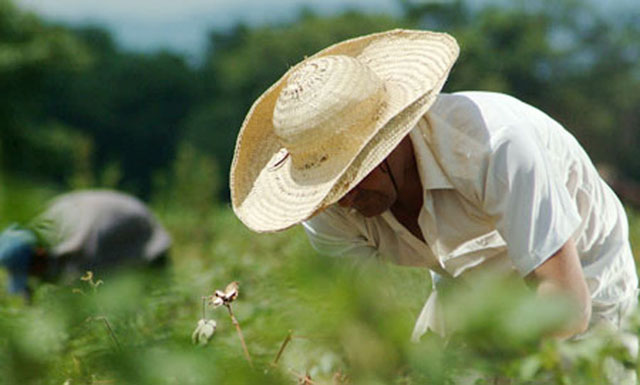 campesino