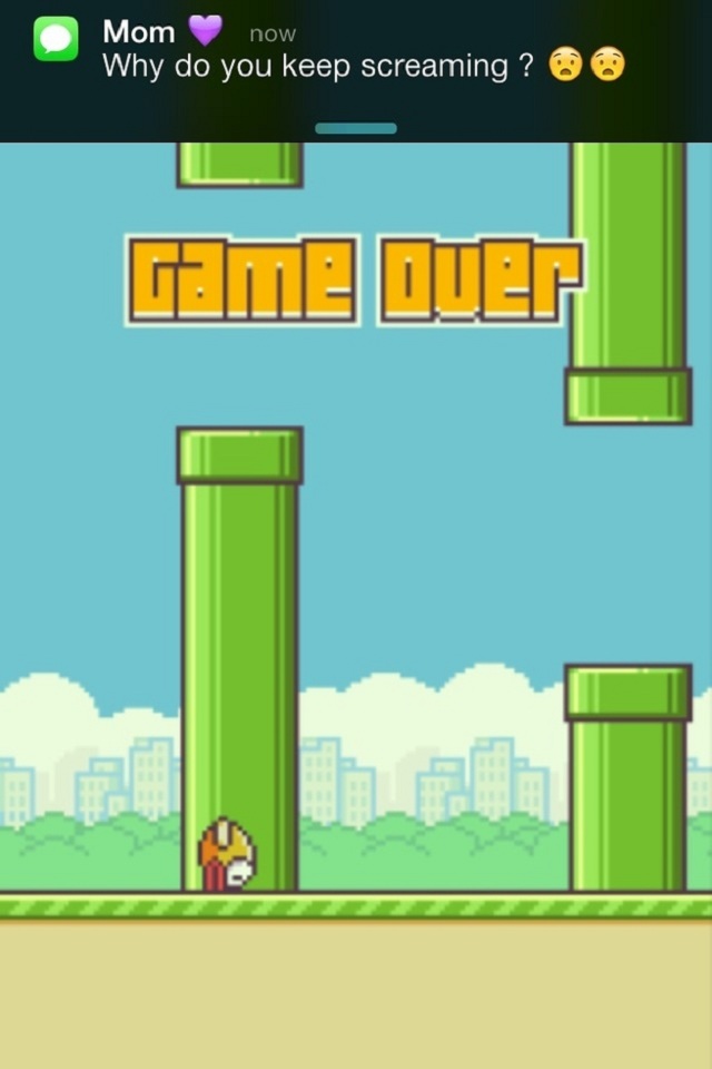 flappy bird05