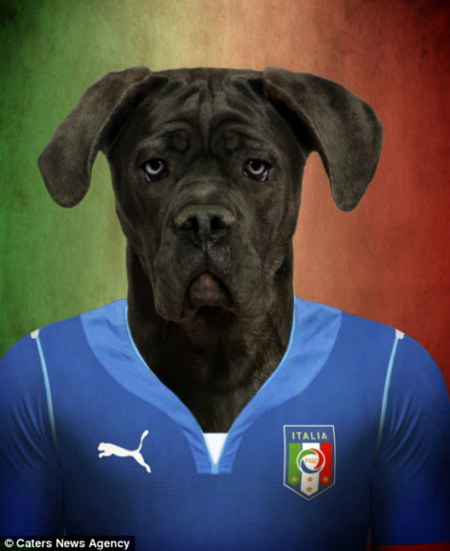 forza cane corso