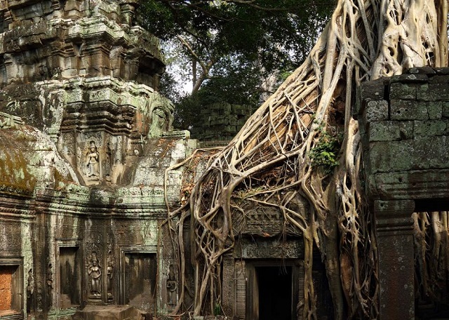 dinosaurio en camboya