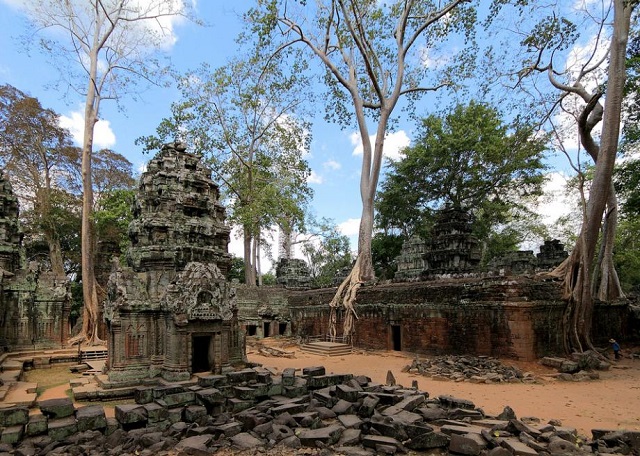 dinosaurio en camboya04