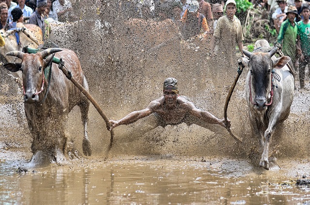 "No es Superman", Irwansyah, Premio Nacional de Indonesia