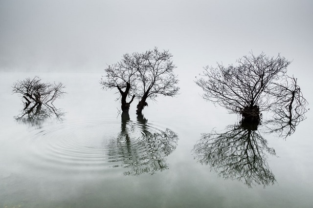 "Ondas en el lago tranquilo", Dowon Choi, Premio Nacional de Corea del Sur