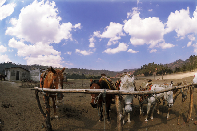 T9ajusco