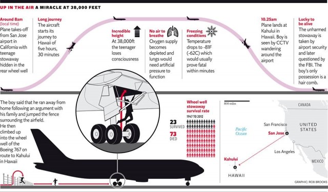 grafico vuelo independent