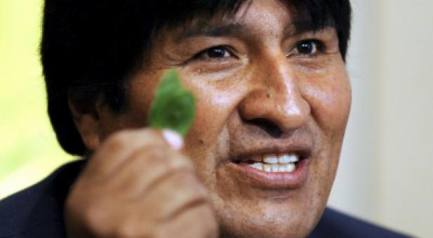 evo morales coca