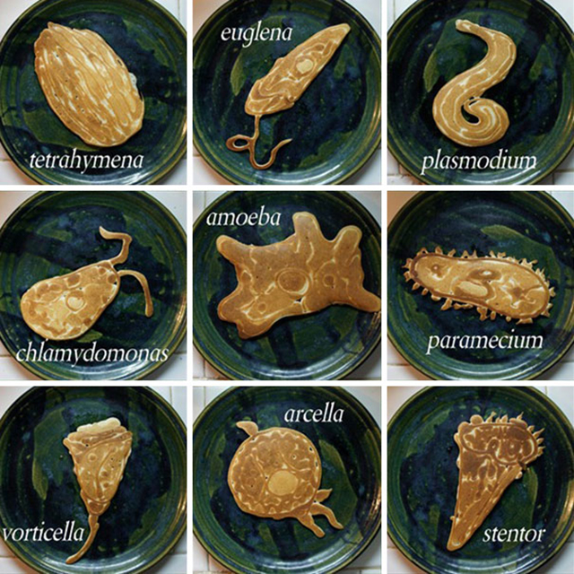 saipancakes-pancake-art-nathan-shields-14