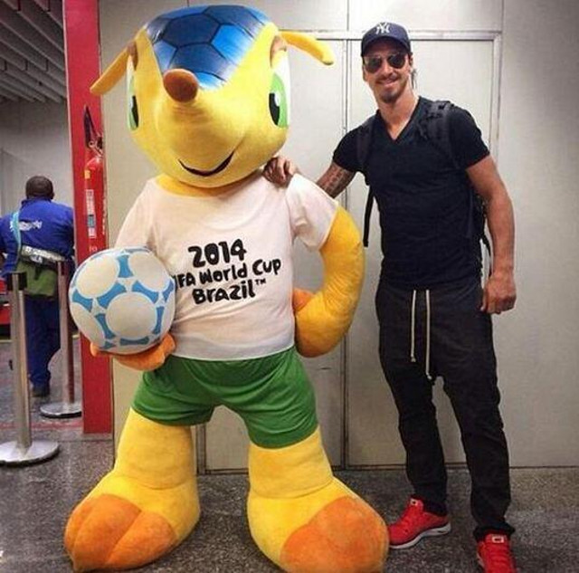 zlatan brasil 2