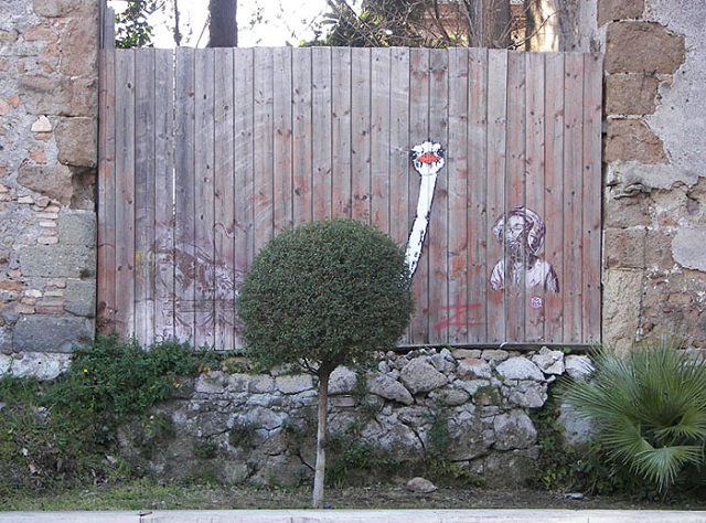 arte urbano naturaleza07