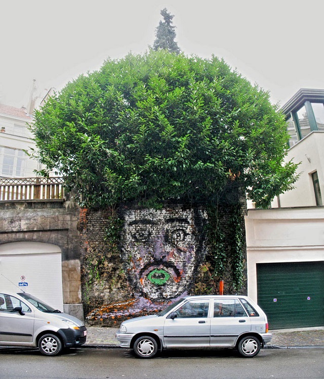 arte urbano naturaleza27