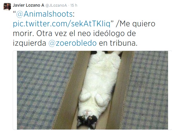 lozano twitter2