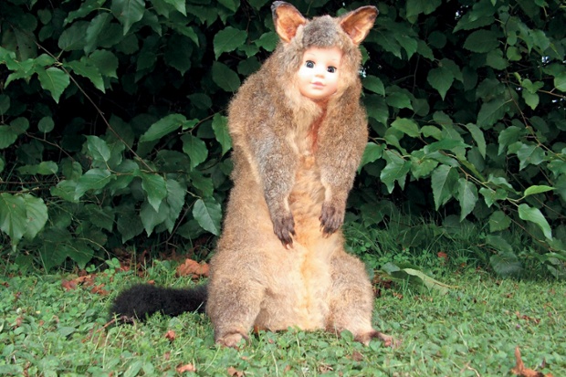 Crap Taxidermy by Kat SuPublished by OctopusBushbaby - Tauranga, New Zealand