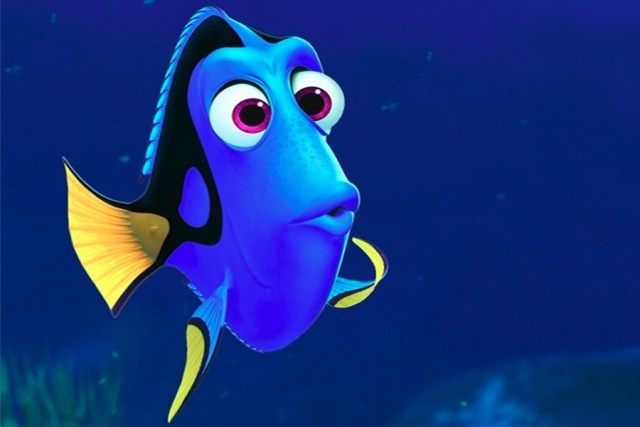 dory