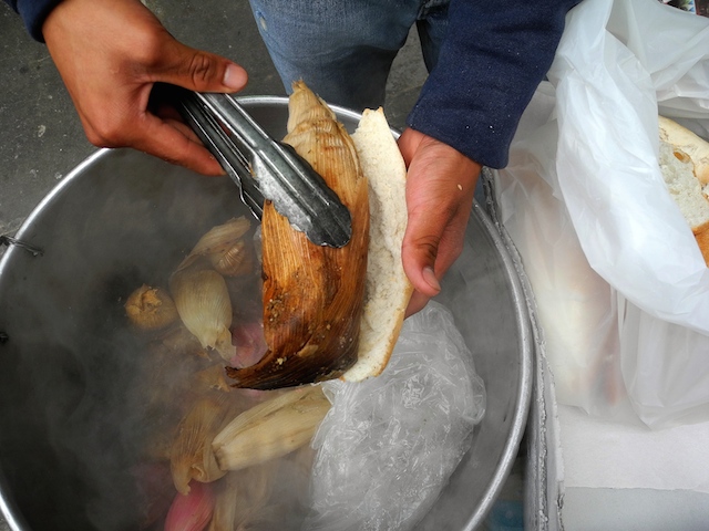 Preparando Guajolota