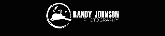 logo randy johnson