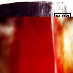 nin