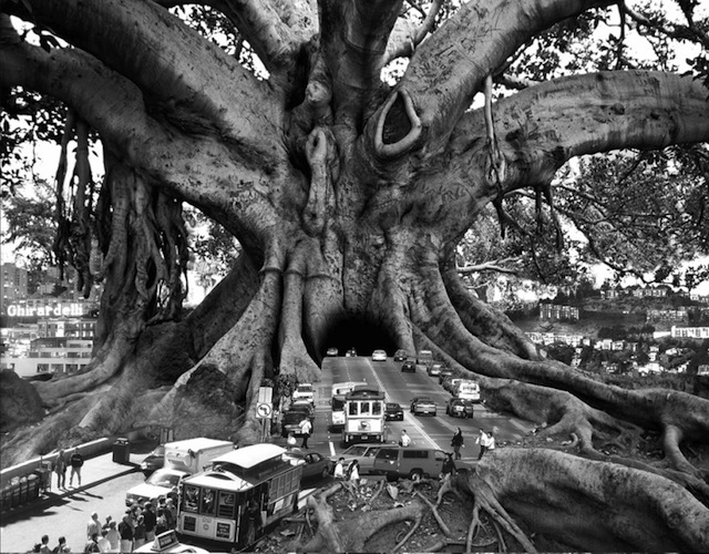 thomas-barbey-surreal-photography-chicquero-101