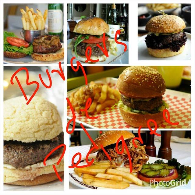 burgers_de_pedigreeee