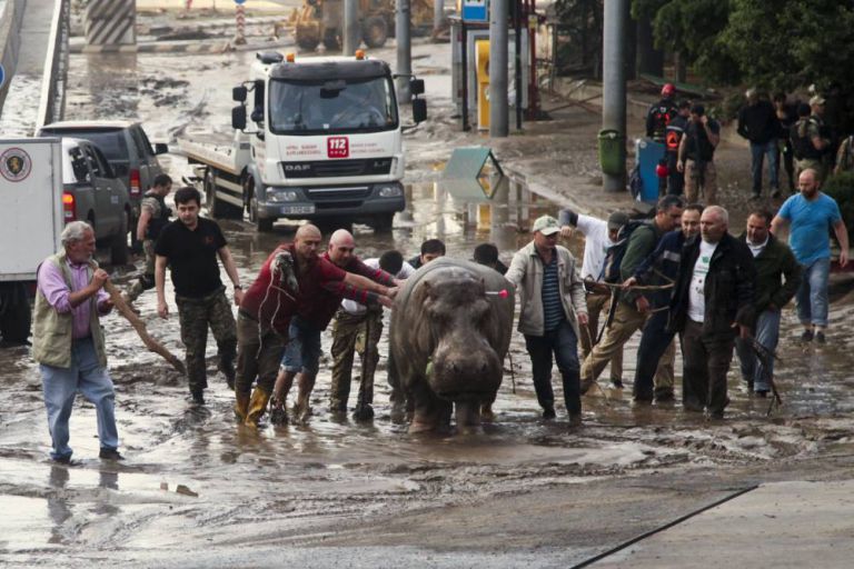 georgia zoologico