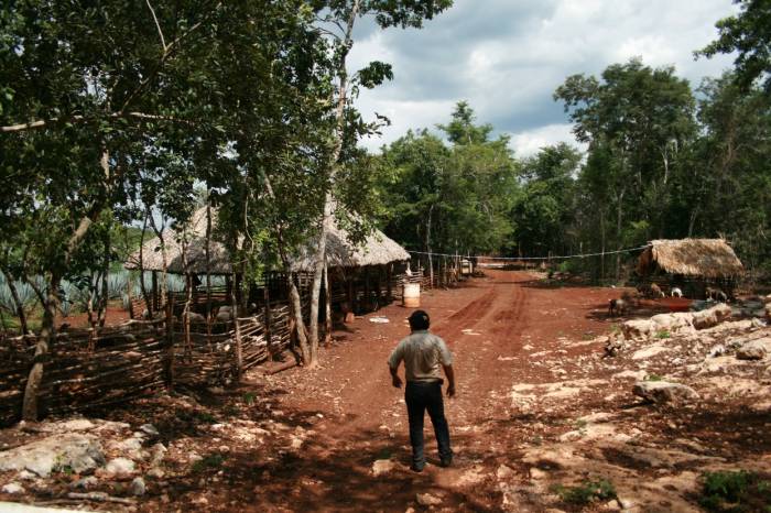 Fomento a la Urbanización Rural