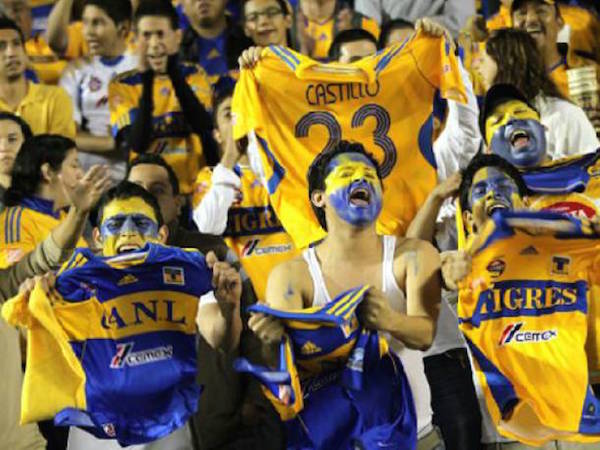 tigres1