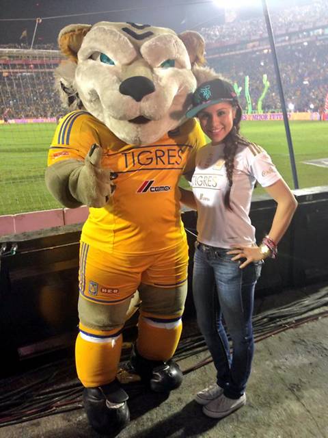 tigres9