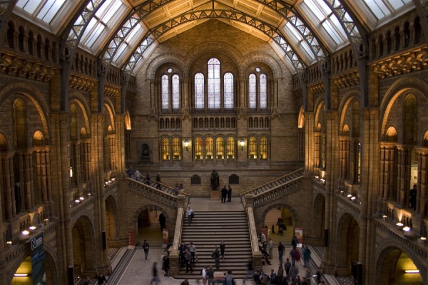 interior-museo-historia-natural-londres