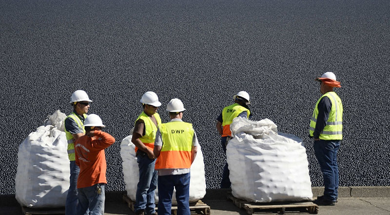 shade-balls-workers