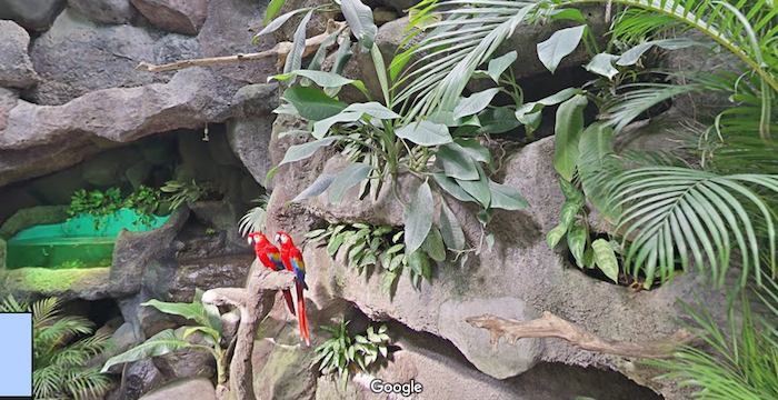 acuario-veracruz-google-street-view