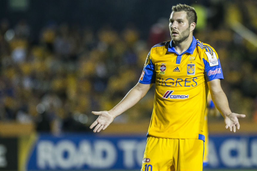 tigres america (4)