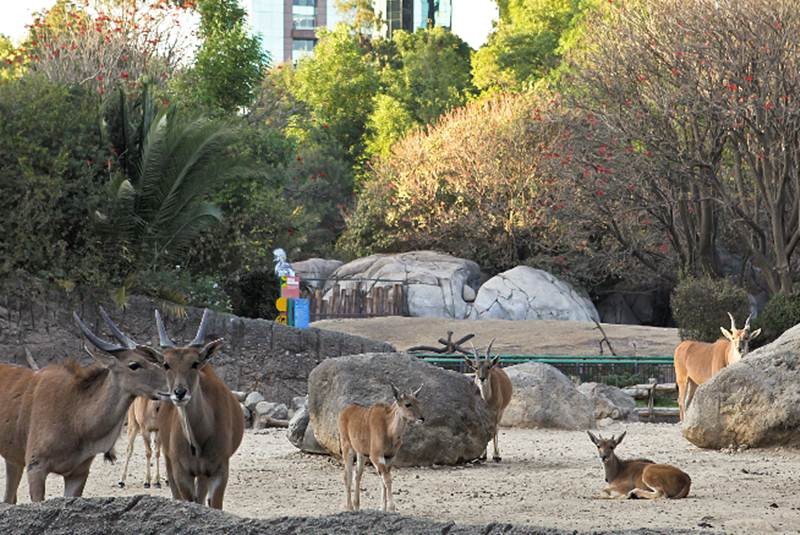 zoologicos-cdmx-2